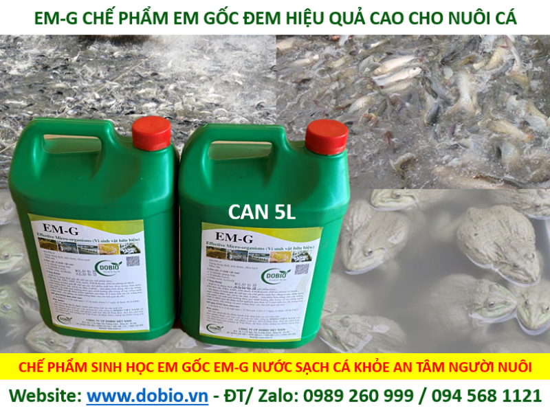 Chế phẩm vi sinh EM gốc 