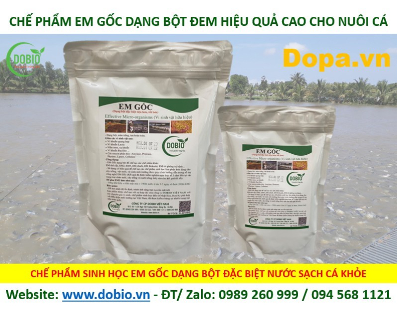 Tạo vi sinh cho hồ cá bằng chế phẩm sinh học EM gốc dạng bột