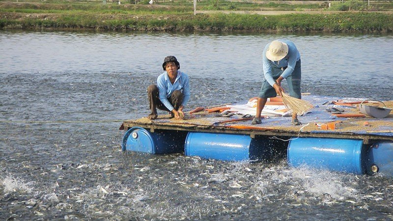 Cách dùng Dobio Yucca Zeo hiệu quả