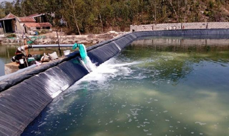 Tính chất của nước thải trong nuôi thủy sản