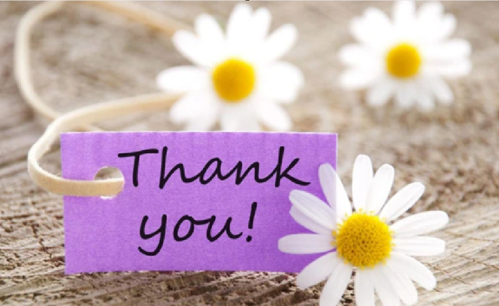 [CHÍNH HÃNG] QUẠT TẢN JIPLAI JL736 - XX THÁI LAN