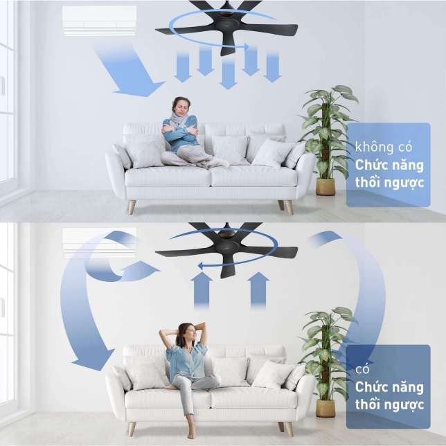 Chính hãng] Quạt Trần Panasonic F‑60DGN-Hàng chính hãng | ĐIỆN MÁY TÂY HỒ