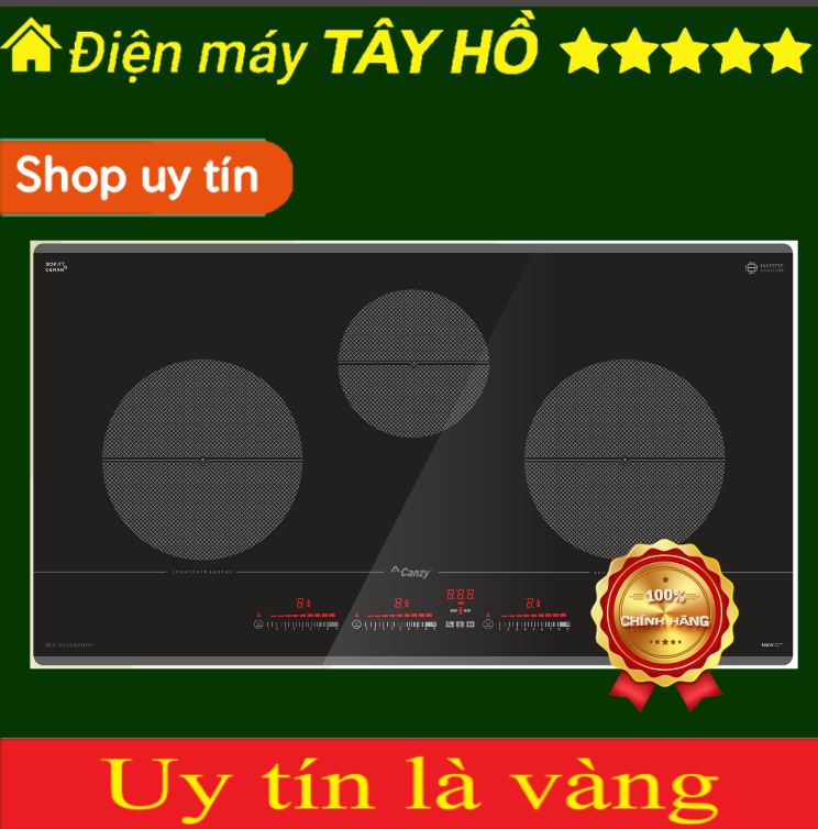 [HÀNG CHÍNH HÃNG] Bếp Từ Canzy CZ-595LUXURY