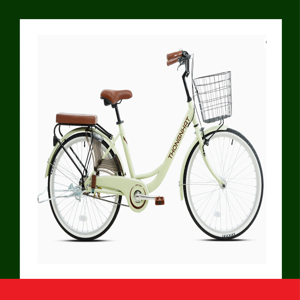[HÀNG CHÍNH HÃNG] Xe đạp Thống Nhất LD 24-01_2023