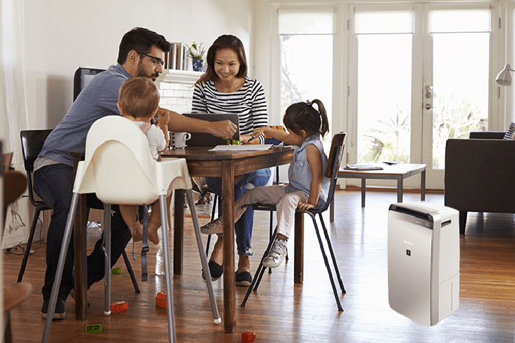 [CHÍNH HÃNG] Phụ kiện Màng lọc máy lọc không khí và hút ẩm Sharp DW-J27FV-S