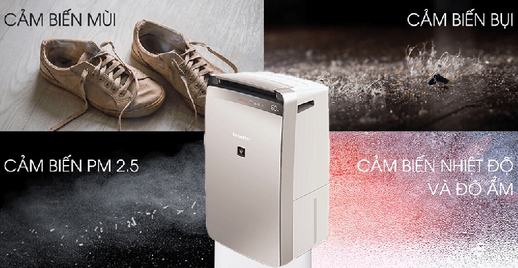 [CHÍNH HÃNG] Phụ kiện Màng lọc máy lọc không khí và hút ẩm Sharp DW-J27FV-S