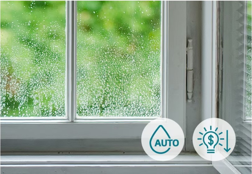 [HÀNG CHÍNH HÃNG] Phụ kiện máy hút ẩm LG Dual Inverter MD16GQSE0.ABAE