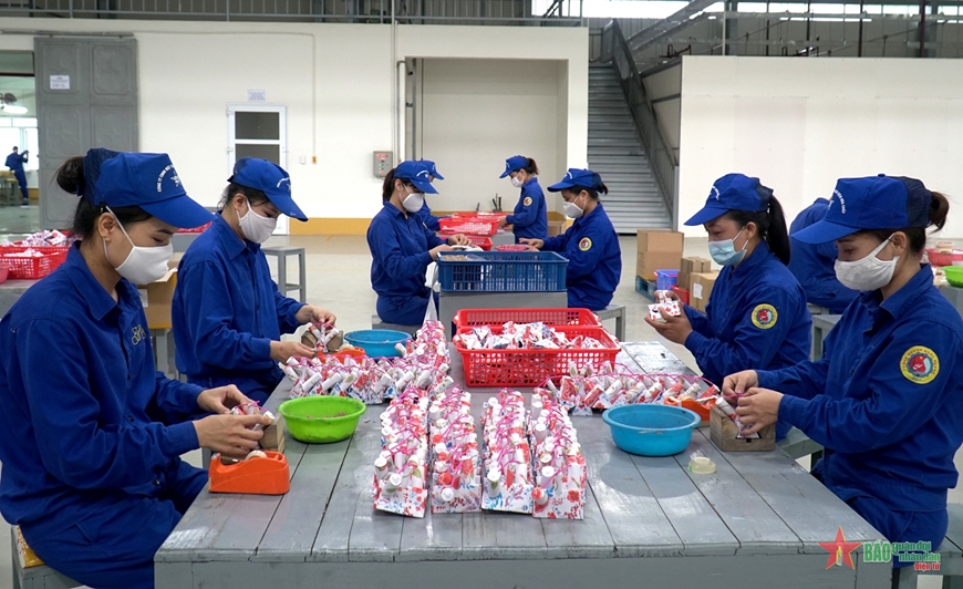 [HÀNG CHÍNH HÃNG] Pháo hoa Con sò đổi màu của Bộ Quốc Phòng vui lễ tết