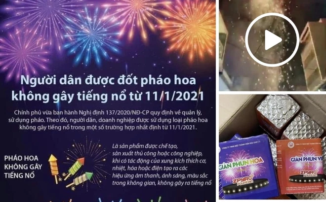 [HÀNG CHÍNH HÃNG] Pháo hoa Con sò đổi màu của Bộ Quốc Phòng vui lễ tết