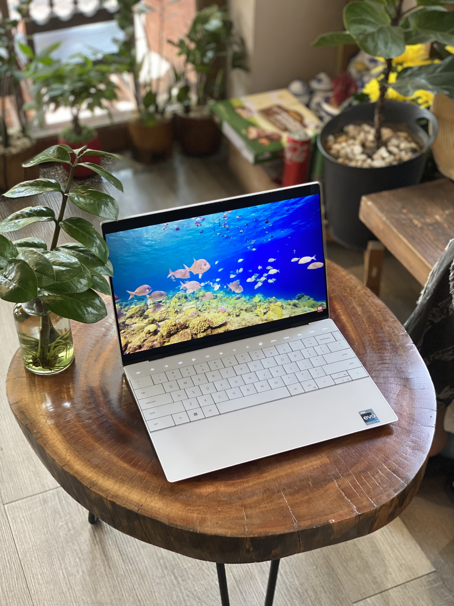 [Mới 100%] Dell XPS 13 Plus 9320 Core i5-1240U/ 8Gb/ 256Gb/ 13.4' FHD - Core i7-1260P/ 32Gb/ 1TB/ 13.4' Oled Touch