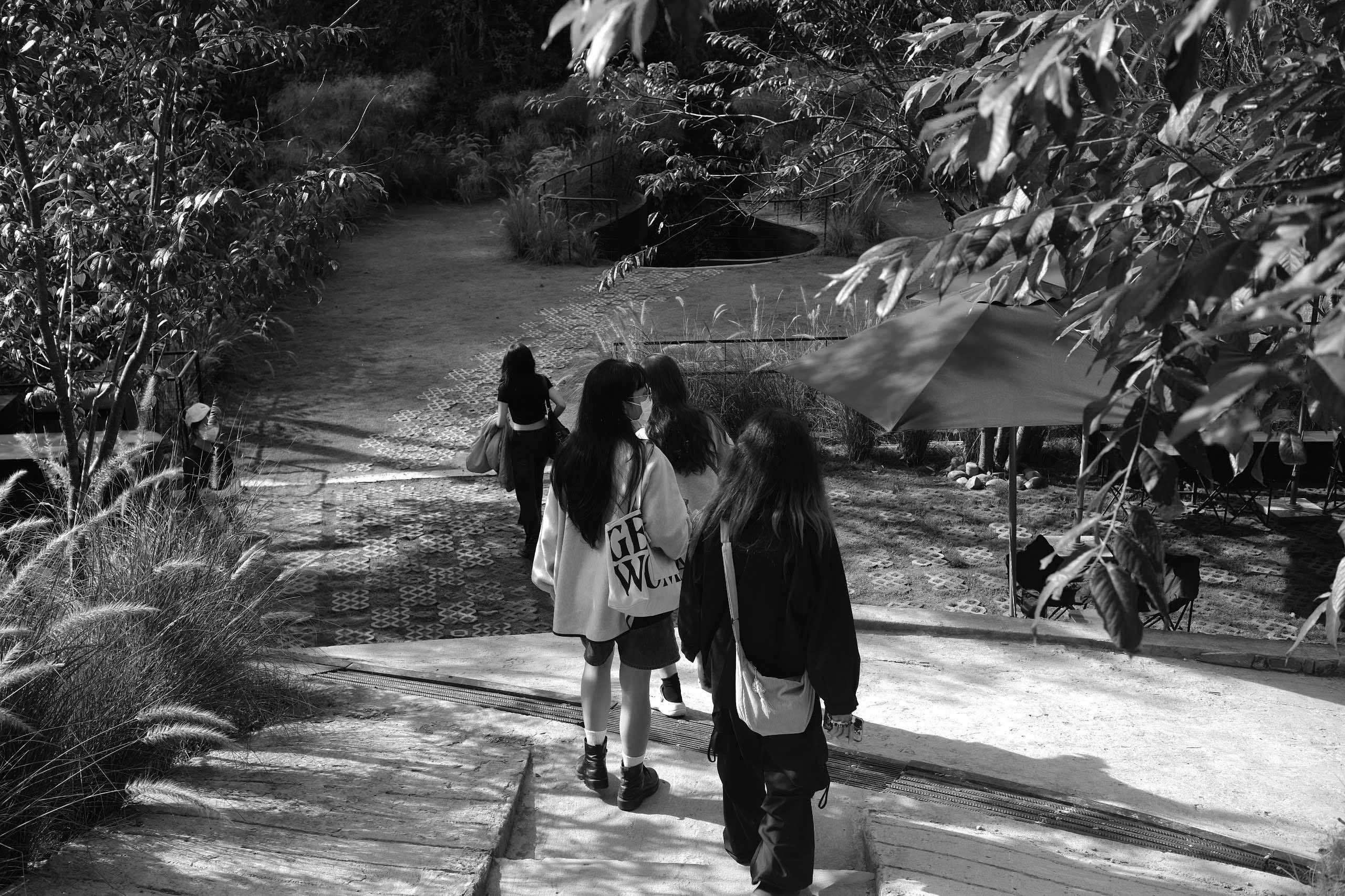 Quy trình làm việc của IIN studio