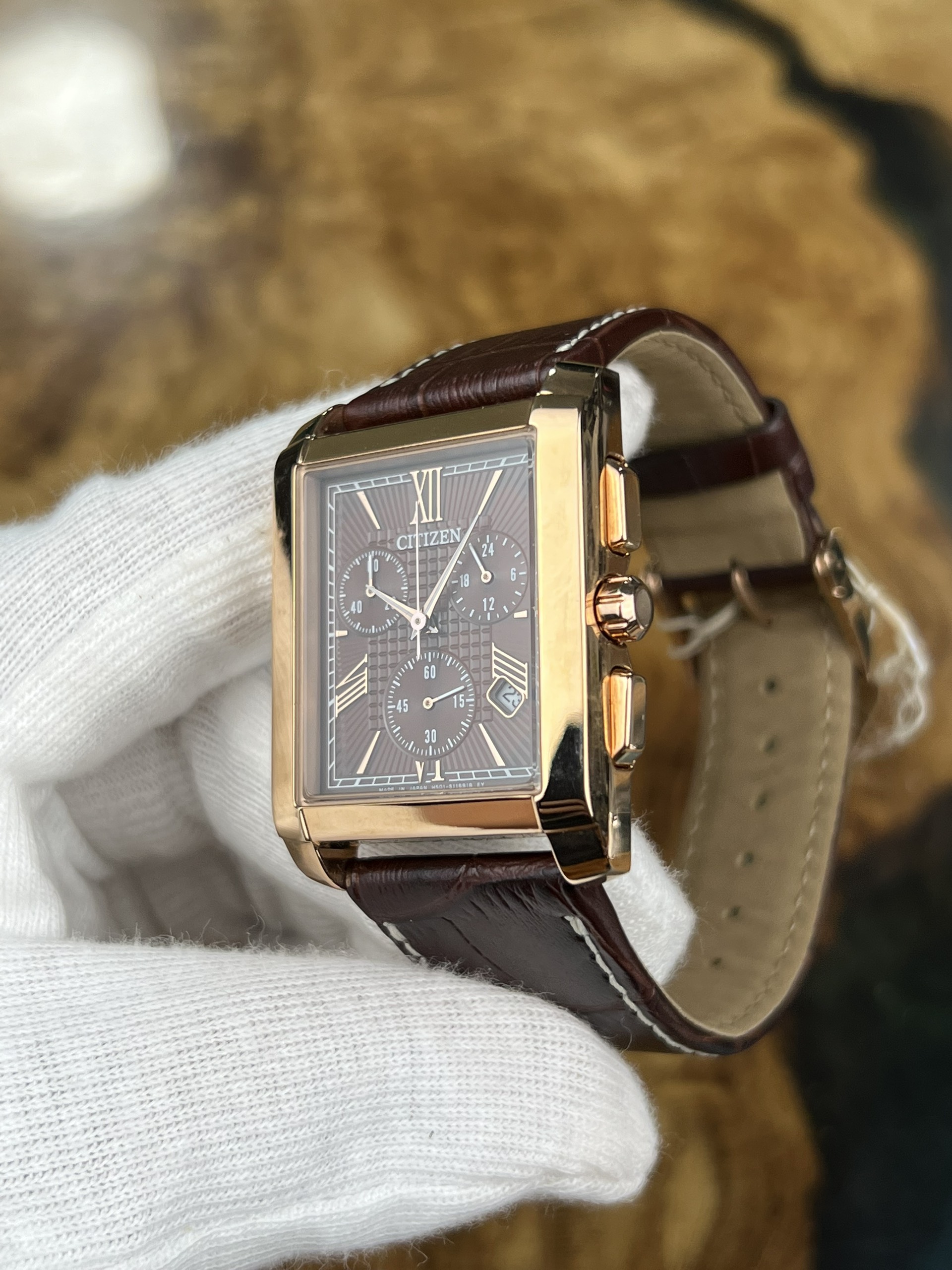Citizen Eco Drive AT0563-10X