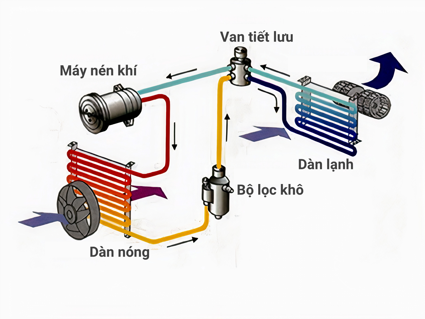 Nguyên lý hoạt động của tủ đông công nghiệp