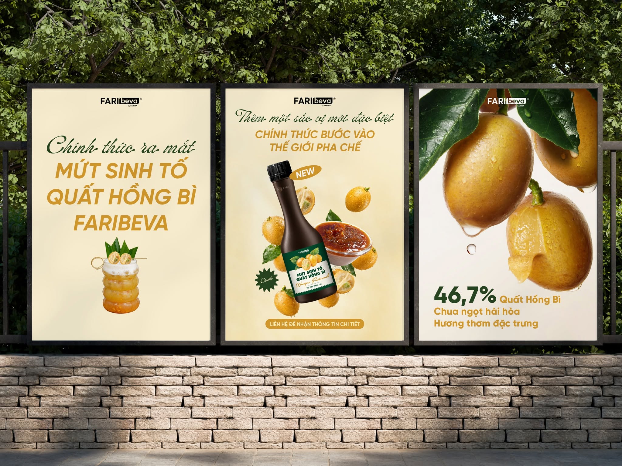 🍹CHÍNH THỨC RA MẮT | MỨT SINH TỐ QUẤT HỒNG BÌ FARIBEVA