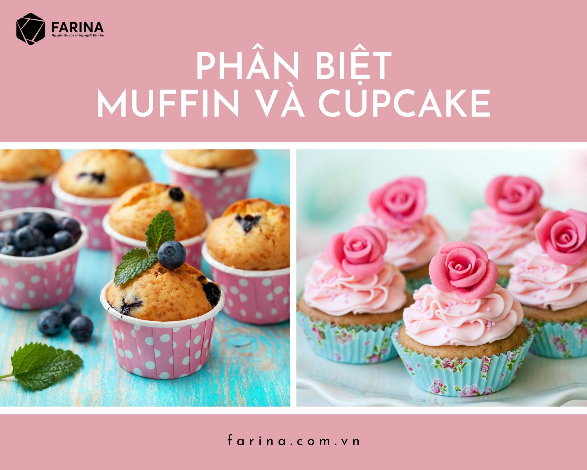 Bánh Muffi là gì? Bánh Cupcake là gì? Bánh Muffin và Bánh Cupcake khác nhau như thế nào?