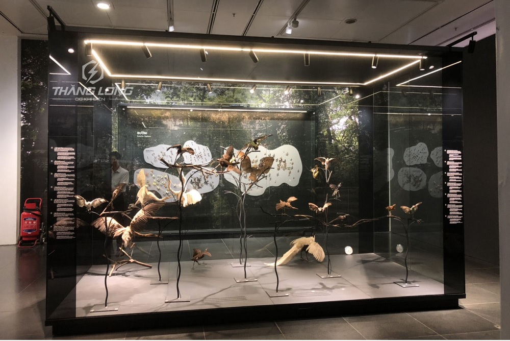 Tủ trưng bày hiện vật tại khu trưng bày mẫu Bảo Tàng Hà Nội