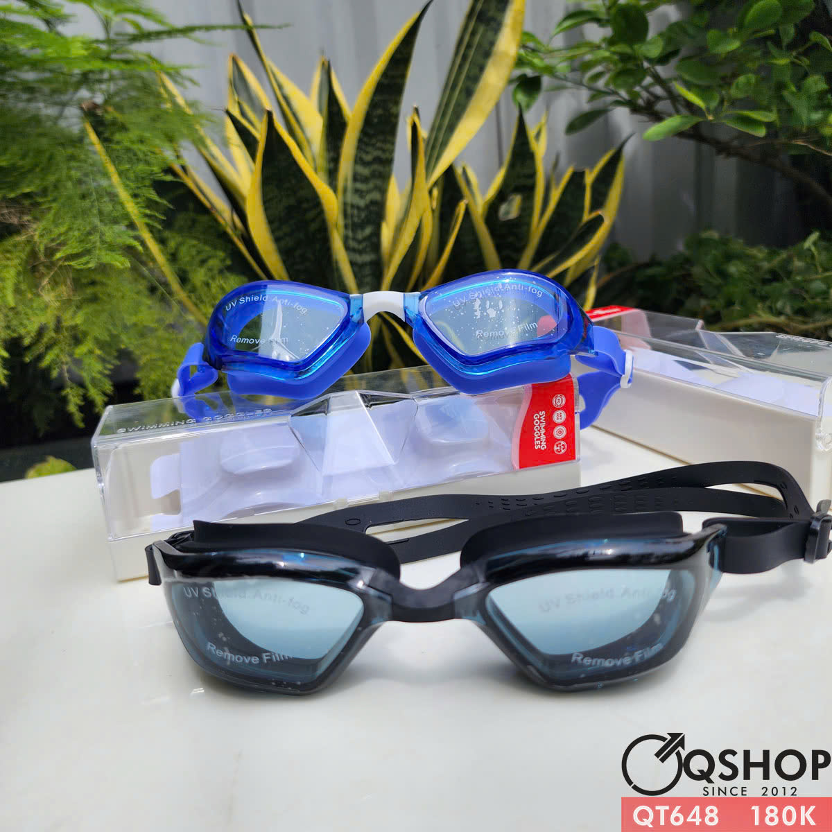 QT648 -  Kính bơi nam nữ không tráng gương