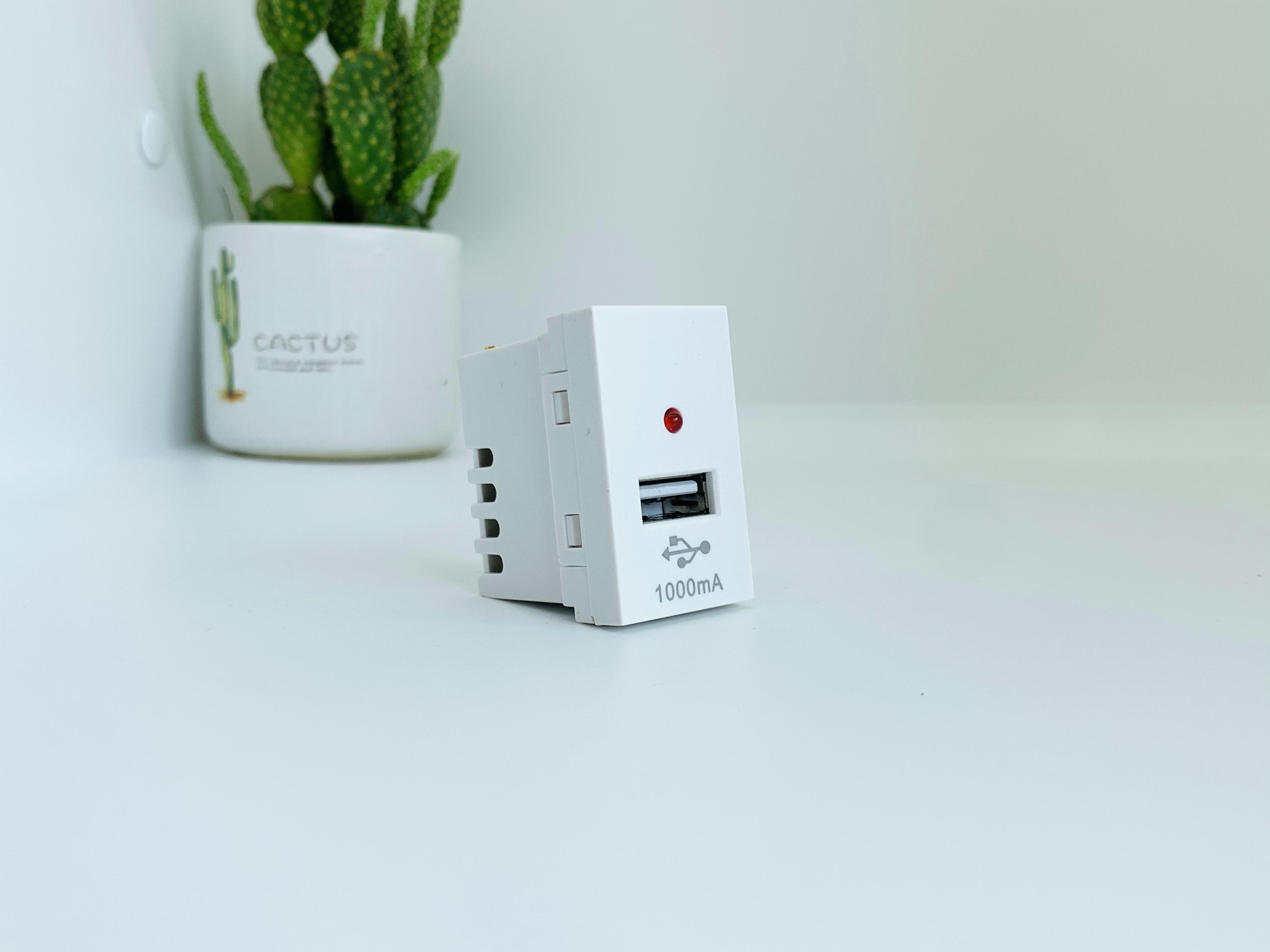 Hạt ổ cắm USB cỡ S 1A A50 - 88530S