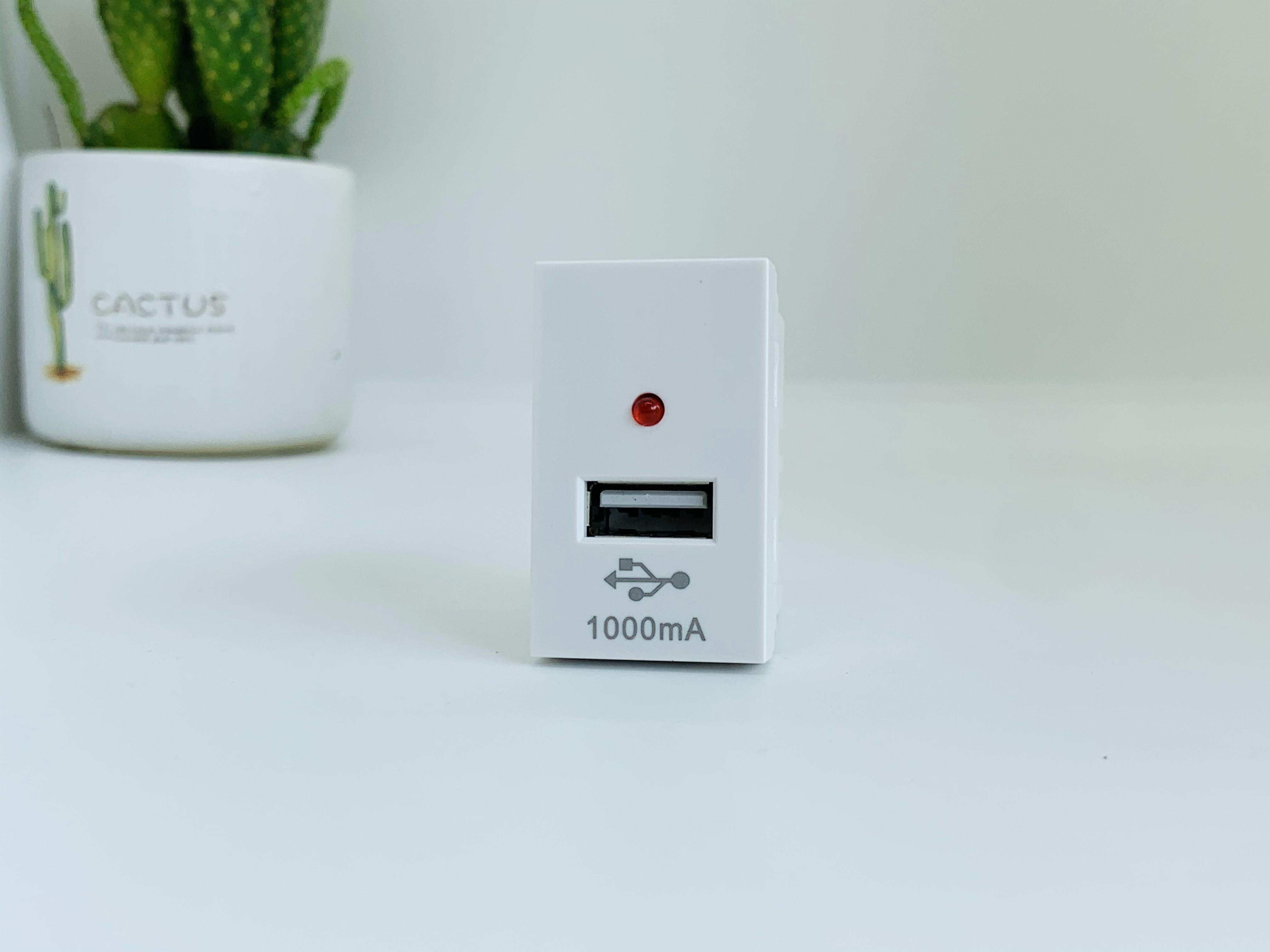 Hạt ổ cắm USB cỡ S 1A A50 - 88530S