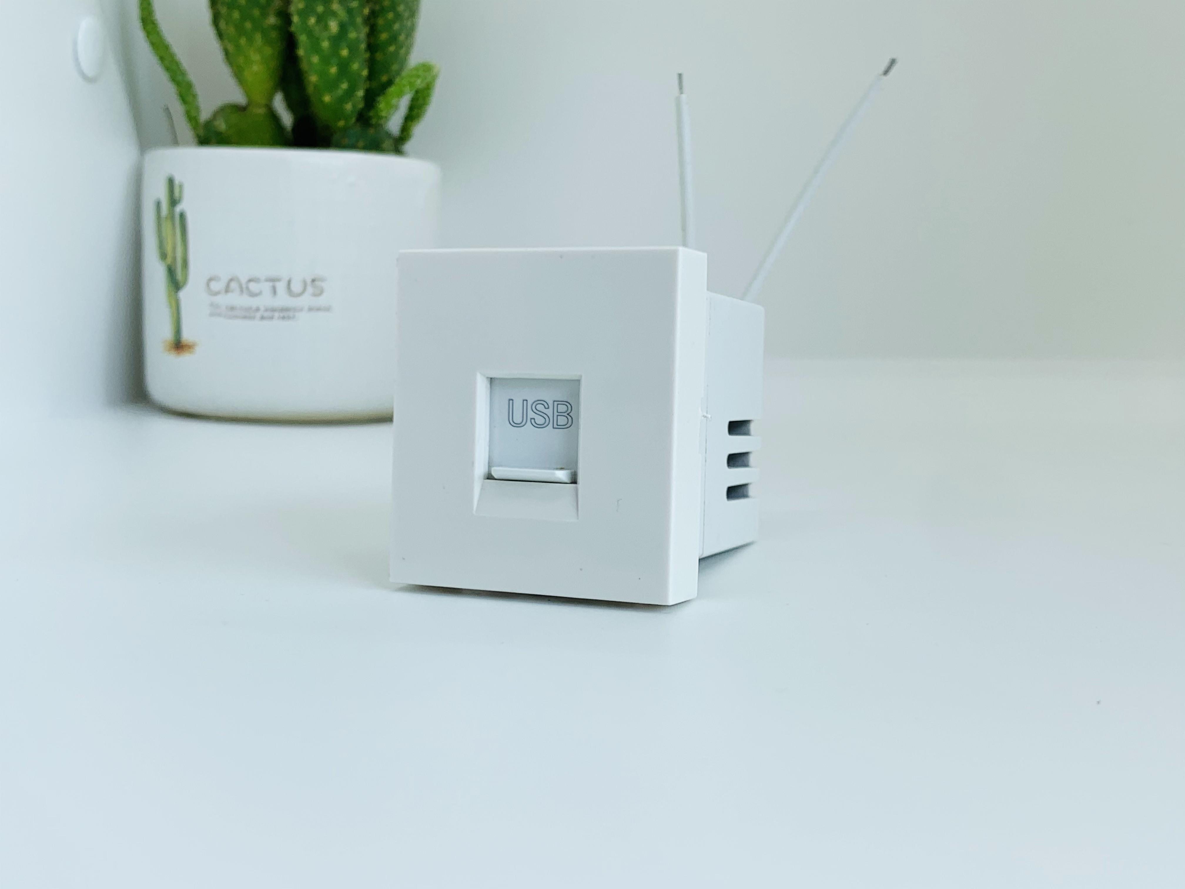 Hạt ổ cắm USB 1A A50 - 88530