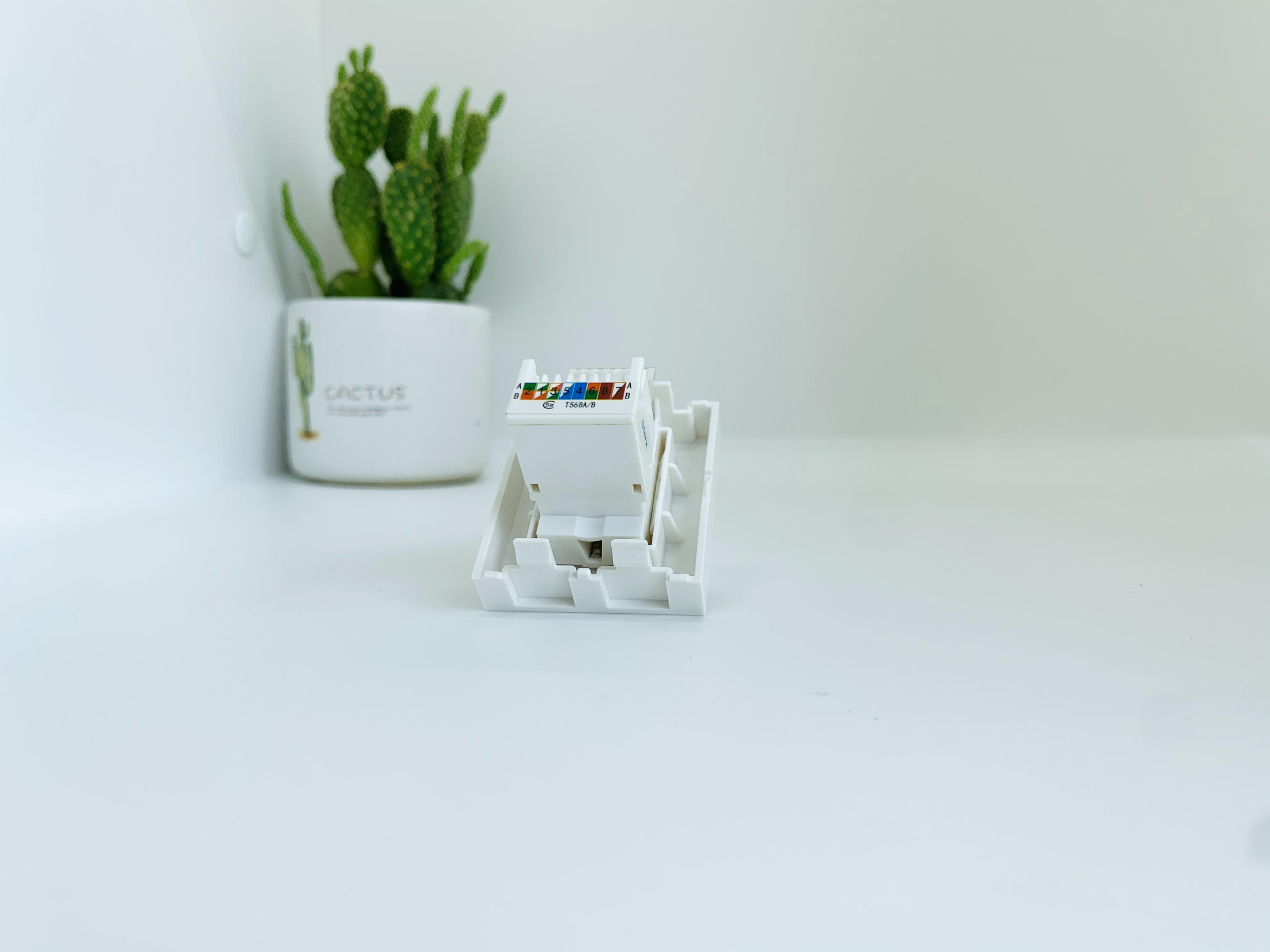 Hạt ổ cắm mạng A50 - 88529