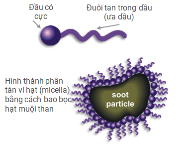 Phụ gia phân tán
