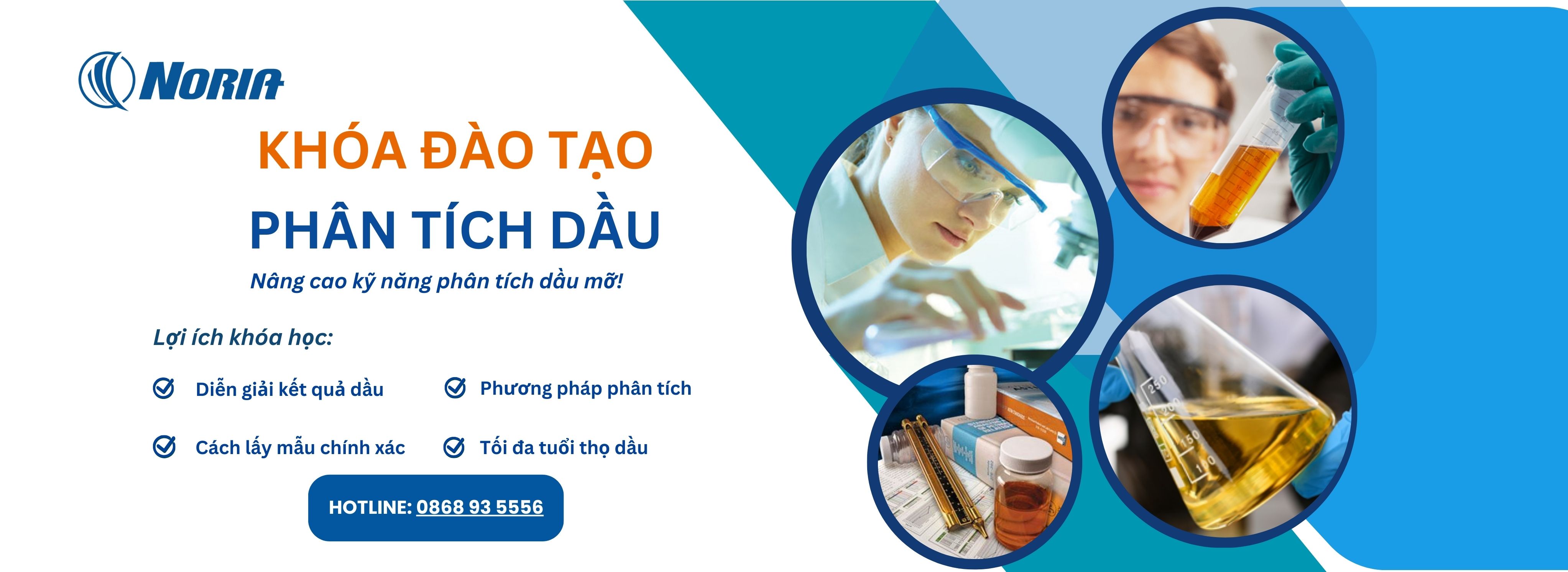 AVM GROUP I VIỆT NAM