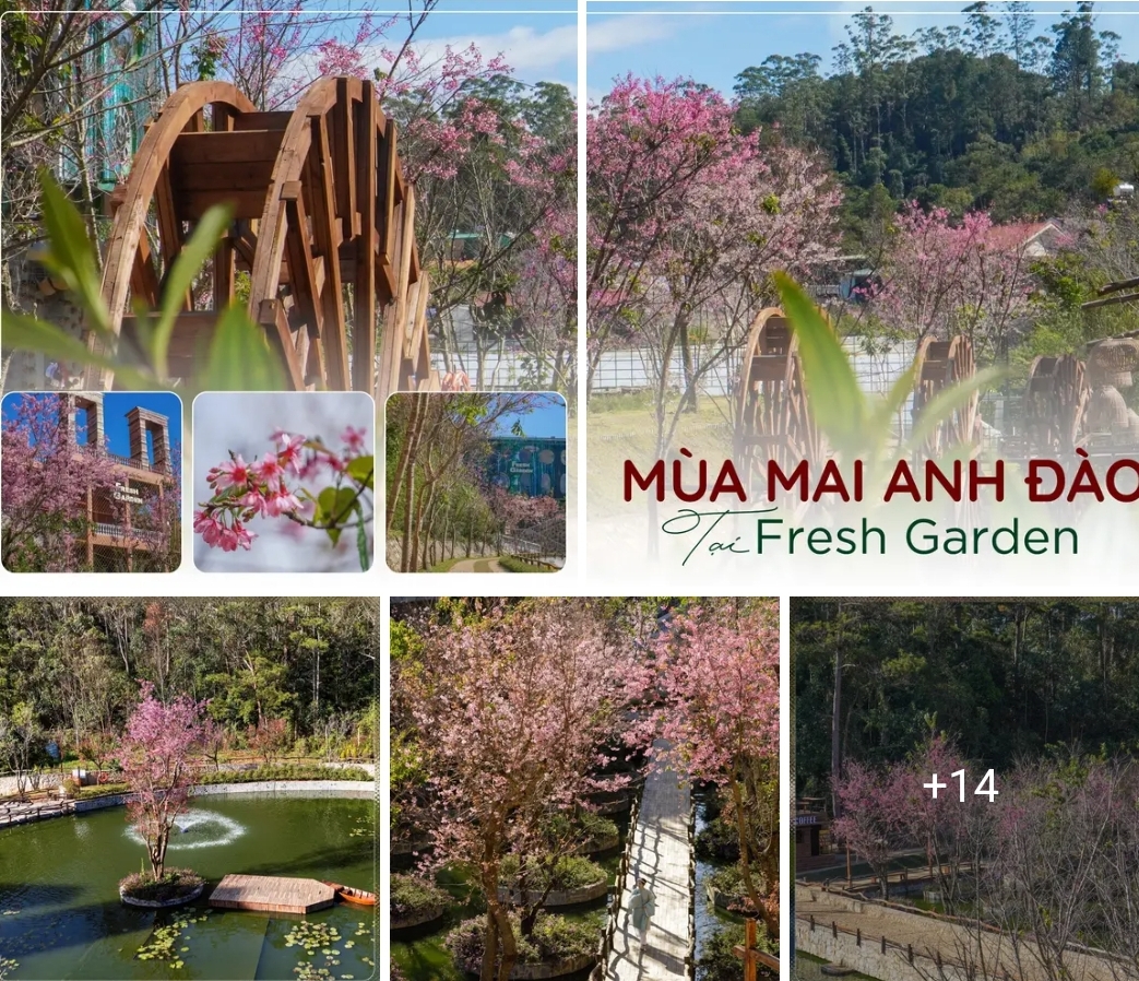 Tour Nha Trang Đà Lạt 4 Ngày 3 Đêm [Trọn Gói - Ưu Đãi 30%]