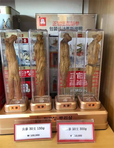 Hồng sâm - món quà quý bậc nhất dịp Tết của người Hàn Quốc