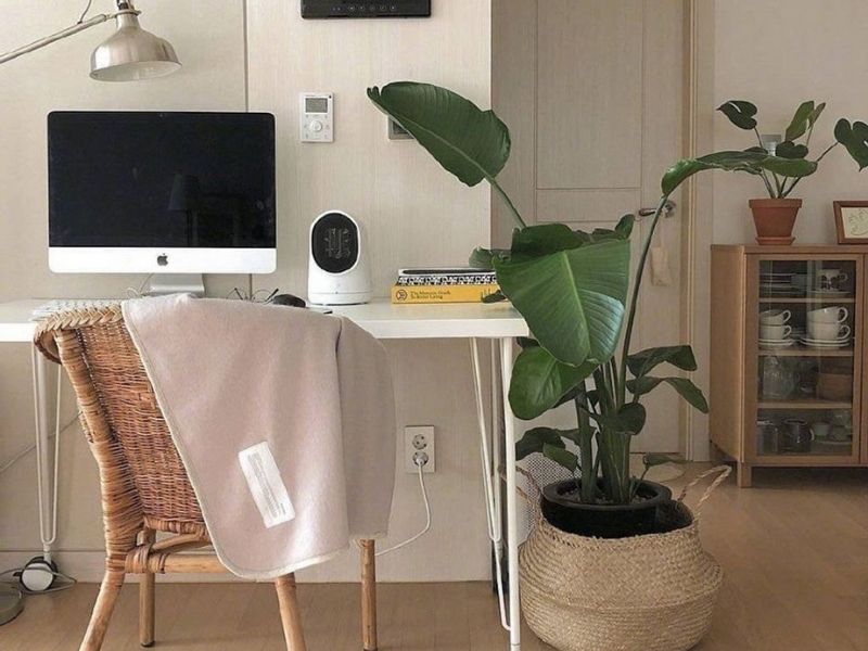 5 lý do bạn nên lựa chọn đồ decor làm bằng nguyên liệu tự nhiên