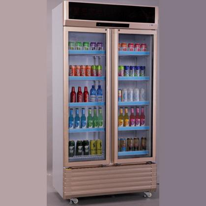 Tủ mát kháng khuẩn Kangaroo KG710AT