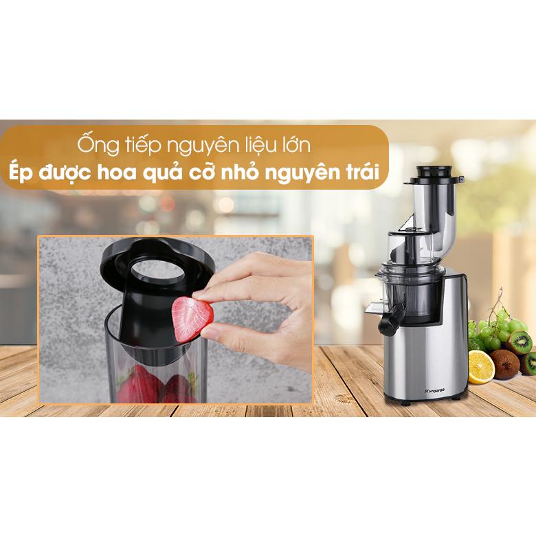 Máy ép chậm Kangaroo KG1B6