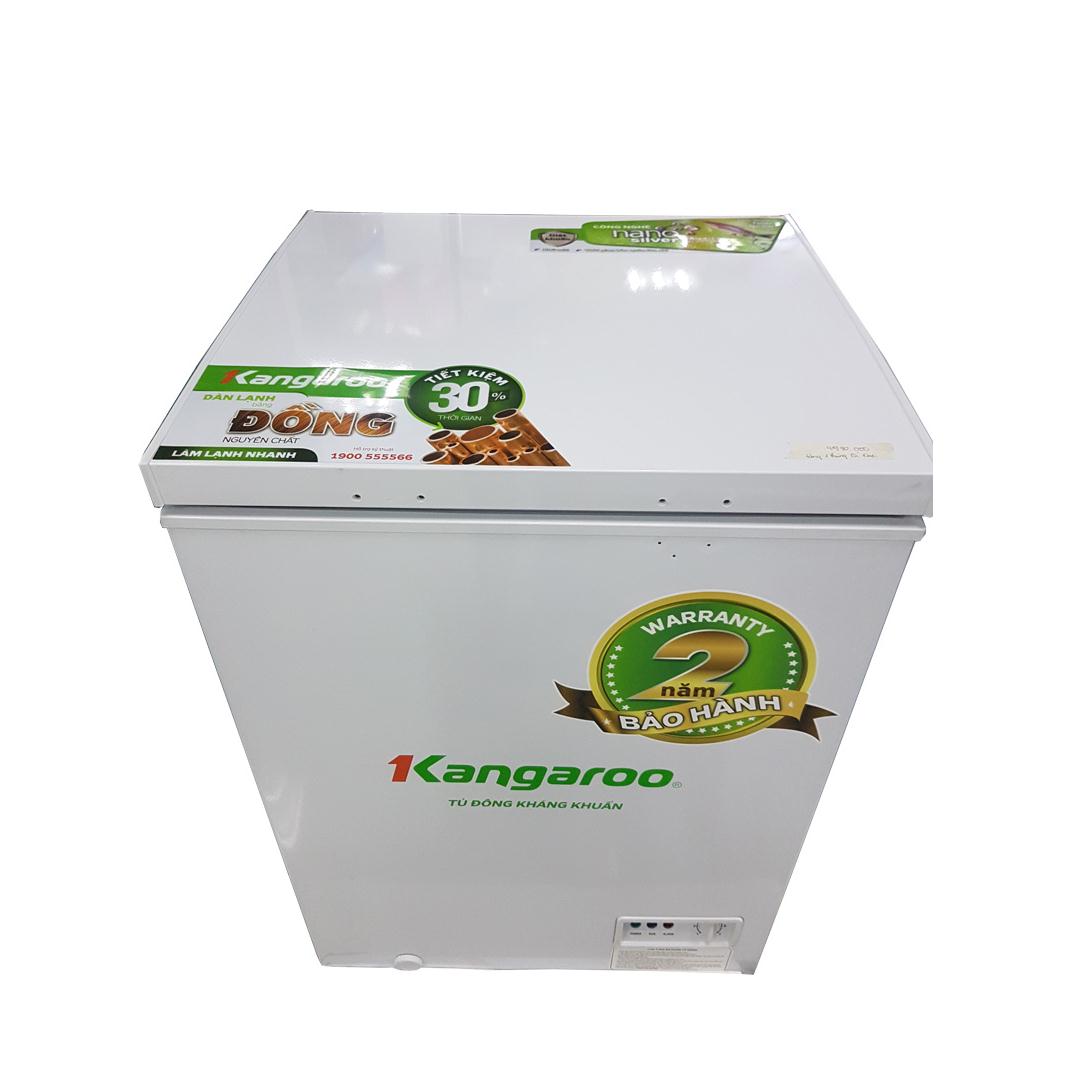 Tủ đông kháng khuẩn Kangaroo KG195C1