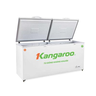 Tủ đông kháng khuẩn Kangaroo KG276A2