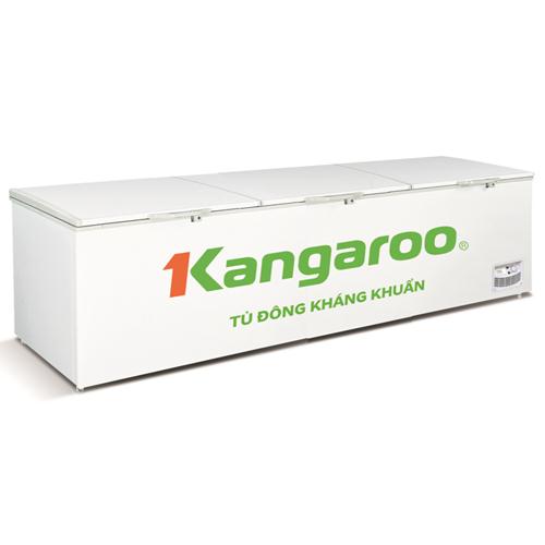 Tủ đông kháng khuẩn Kangaroo KG1400A1