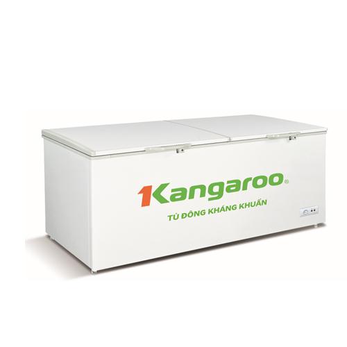 Tủ đông kháng khuẩn Kangaroo KG720C1