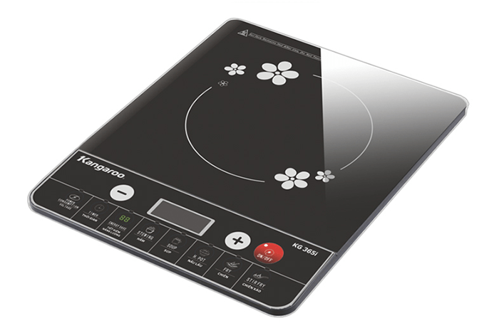 Bếp điện từ đơn KG20IH1