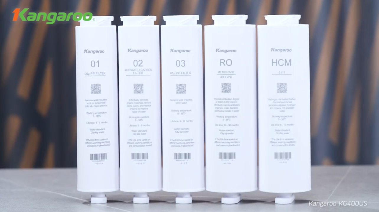 Máy lọc nước Kangaroo Hydrogen KG400US