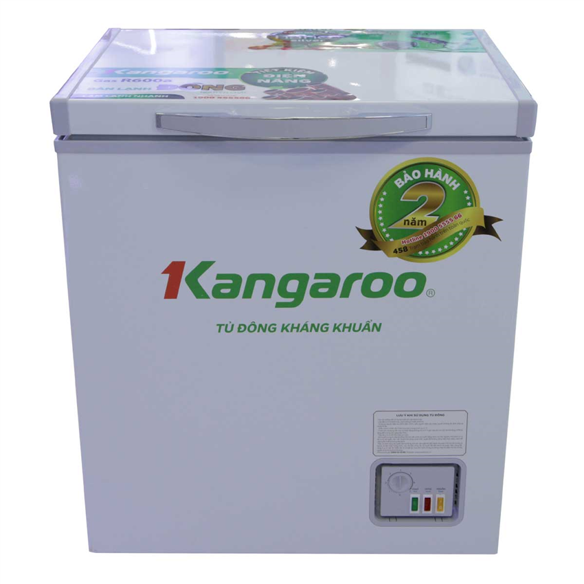 Tủ đông kháng khuẩn Kangaroo KG168NC1