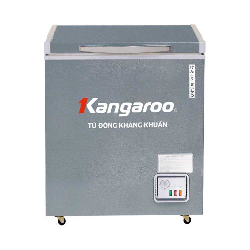 Tủ đông kháng khuẩn 90 lít KGFZ150NG1