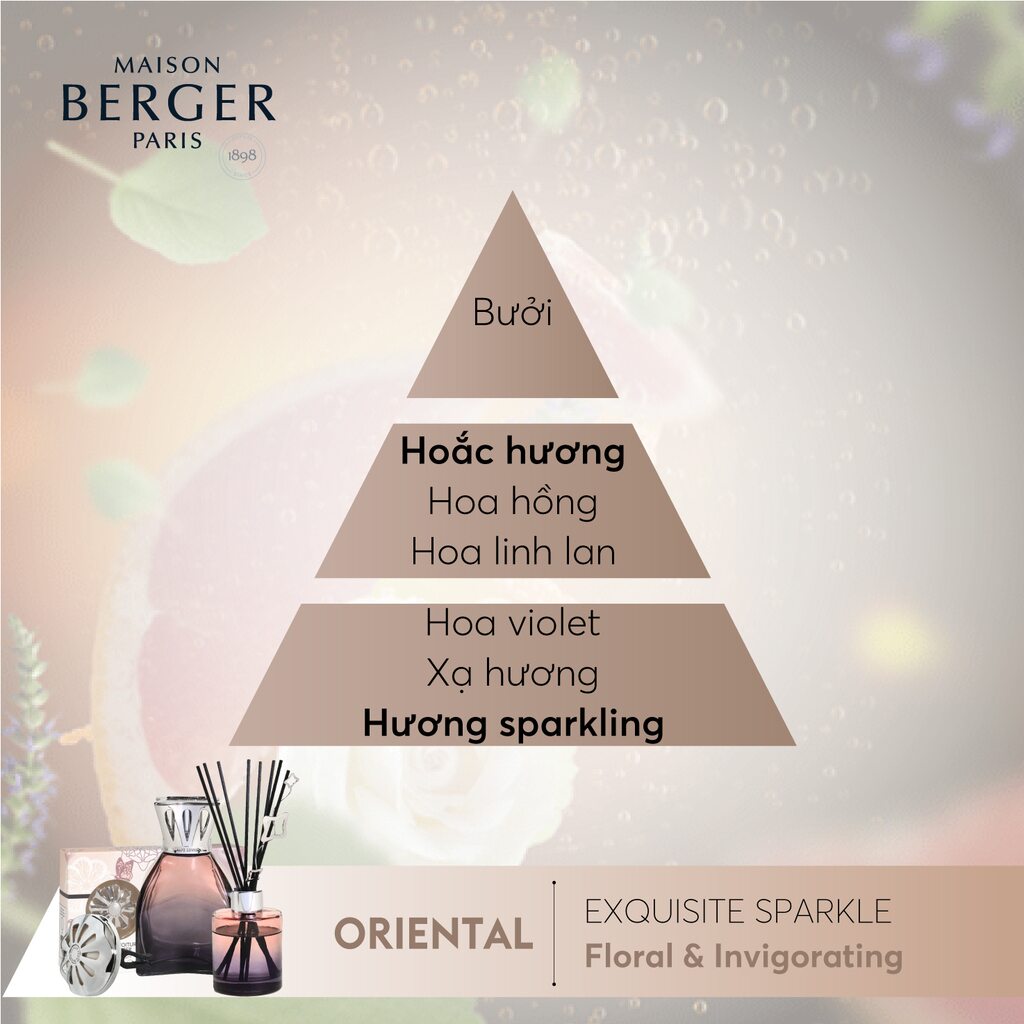 Maison Berger - Bộ kẹp tinh dầu xe hơi Lilly Exquisite Sparkle - 2 món