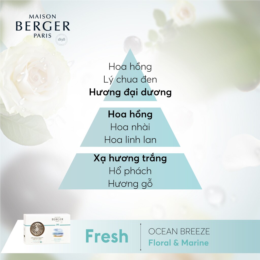 Maison Berger - Bộ kẹp tinh dầu xe hơi Ocean Breeze - 2 món