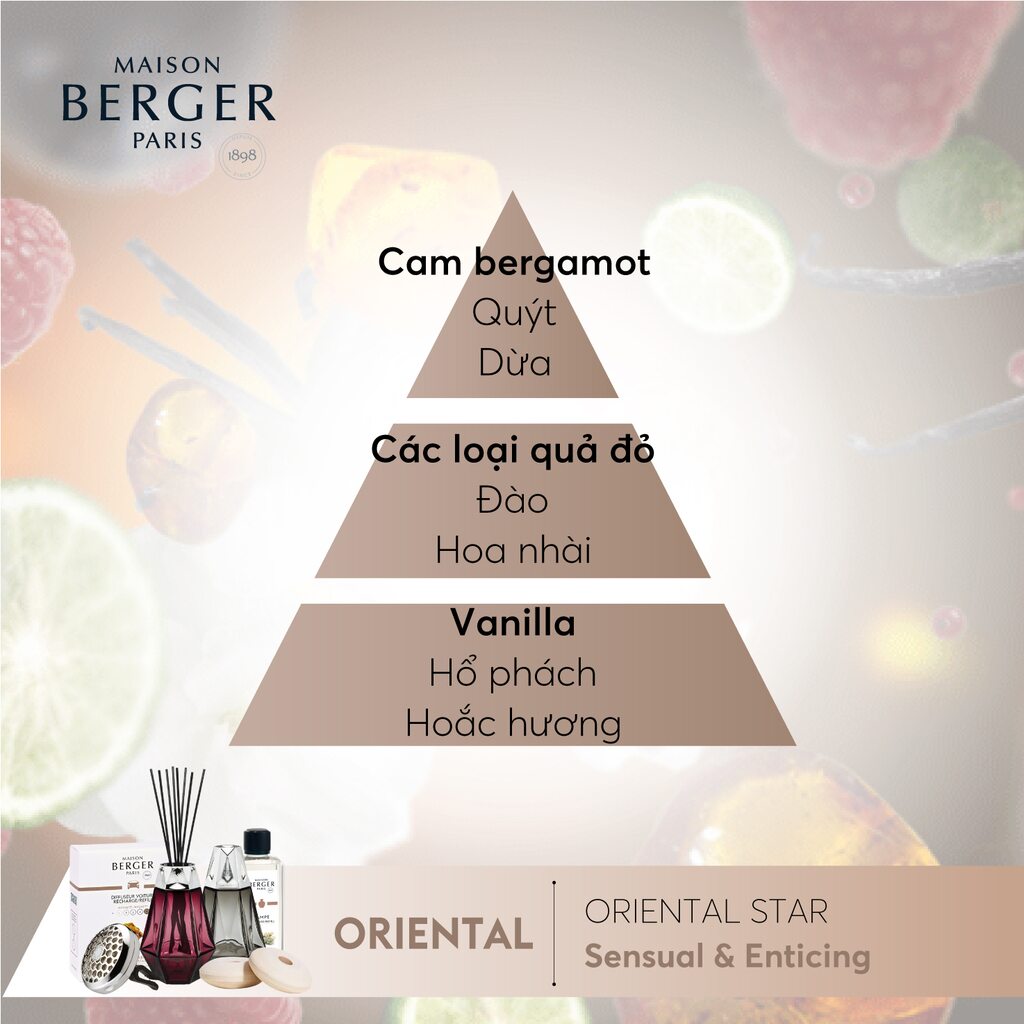 Maison Berger - Tinh dầu đèn xông hương Oriental Star - 500ml