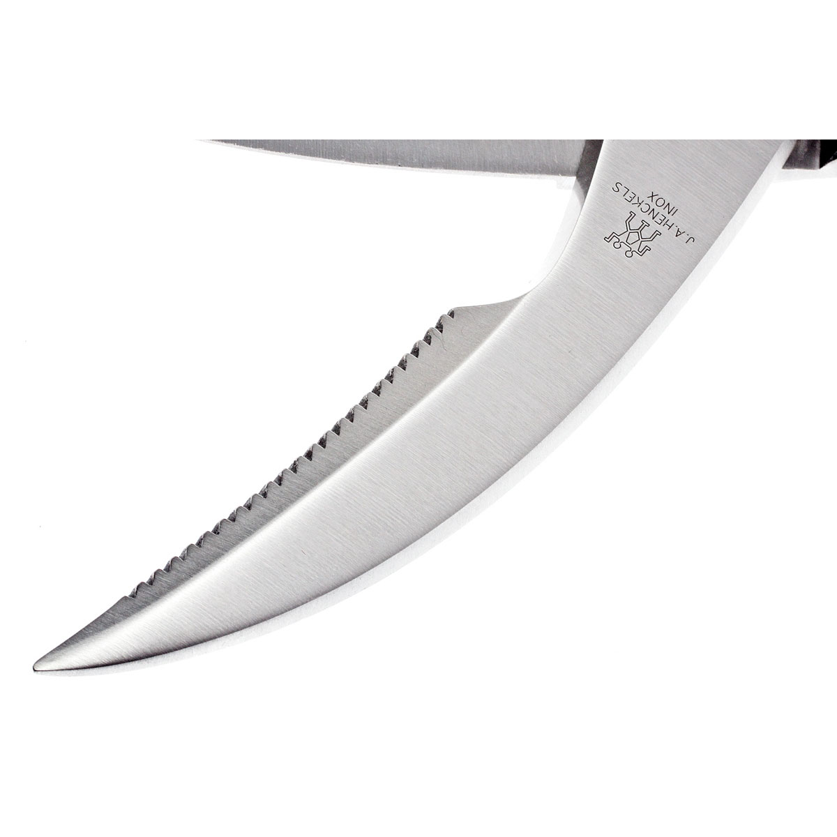 Kéo gia cầm inox ZWILLING