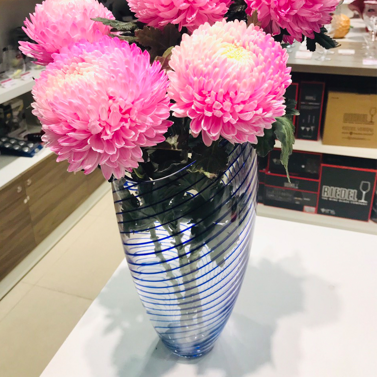 NUDE - Bình Concentrics màu xanh (cao)