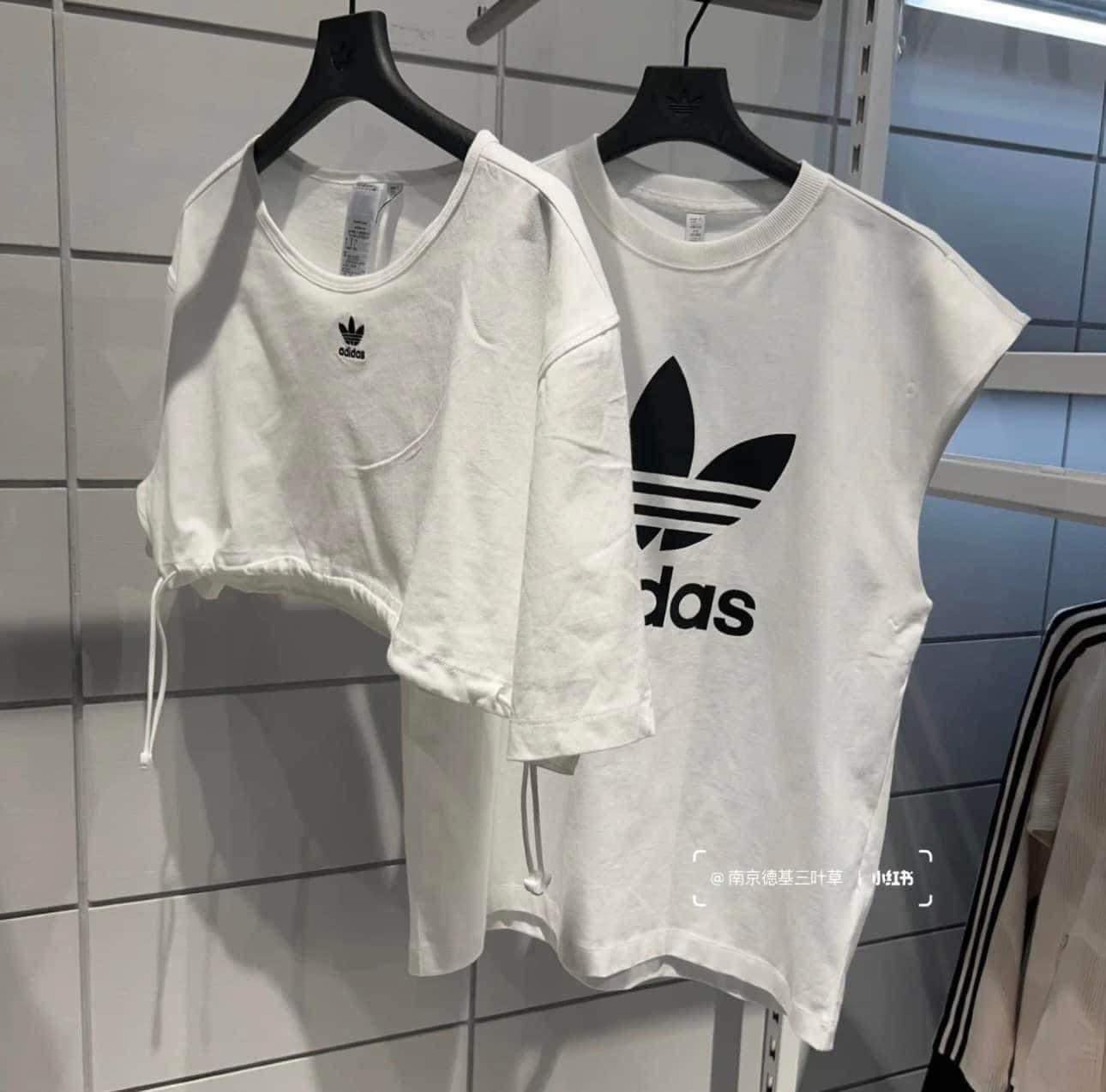 Áo Adidas Always Original White [ IC8806 ]