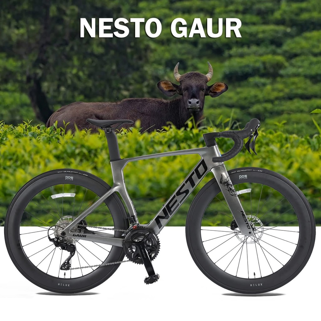 Xe đạp đua carbon NESTO Gaur 2025