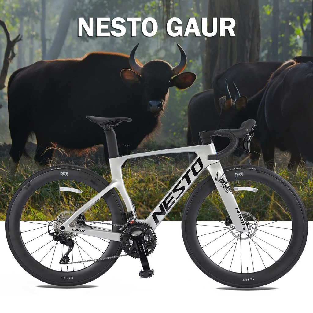 Xe đạp đua carbon NESTO Gaur 2025