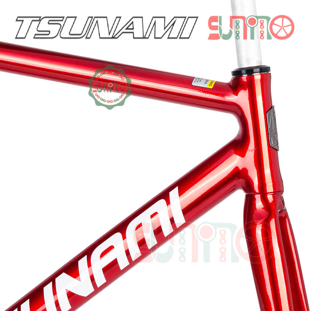 Sườn xe đạp fixed gear TSUNAMI SNM100 màu đỏ chính hãng