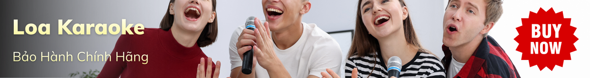 Loa Karaoke